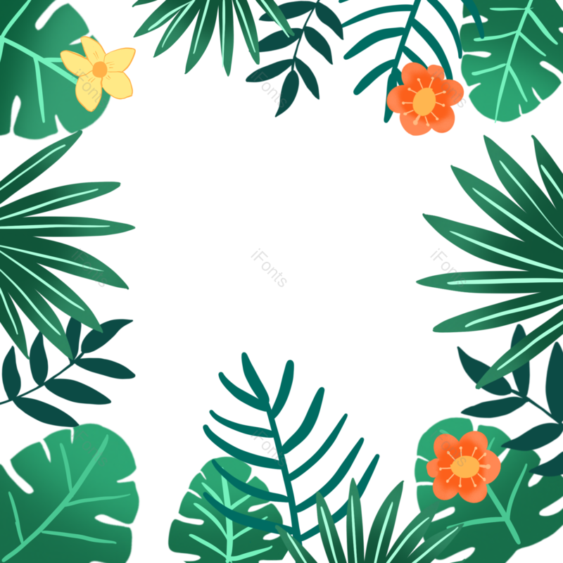 叶子图片,夏天元素,插画PNG,花卉免抠素材